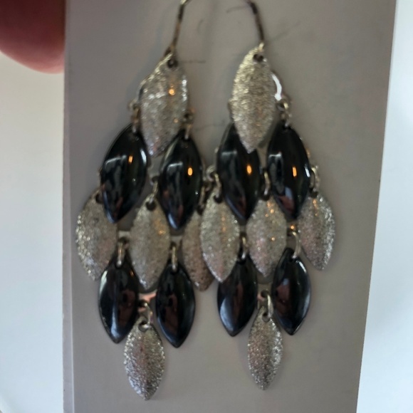 Jewelry - Dark Gray and Sliver Earrings
